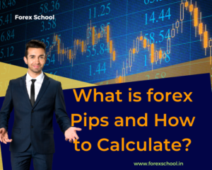 The Basics of Forex Trading: A Step-by-Step Guide for Beginners 11 What is forex pips and How to Calculate