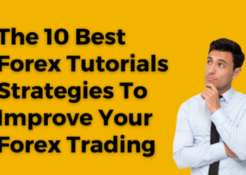 Best Forex Tutorials