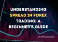 Understanding Spread in Forex Trading: A Beginner’s Guide 5 Spread in Forex
